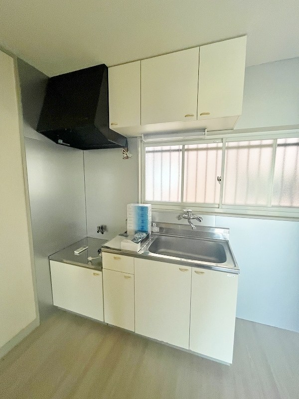 sini　lintu（シニーリントゥ） その他21