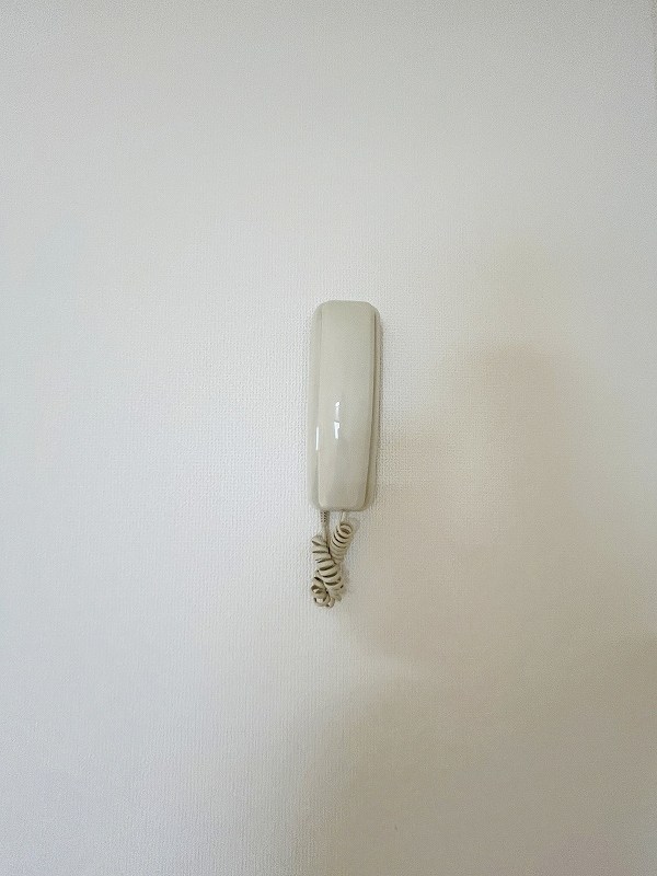 カンパーニュ その他3