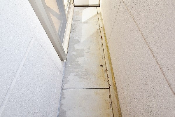 メゾン・ド・ポラリス  その他28