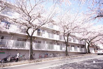 シャトレ安部山 308号室 外観