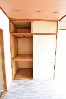 パナハイツカトレア その他3