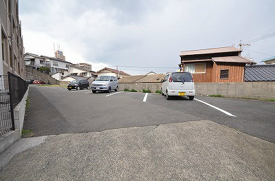 ゼルコバ その他1