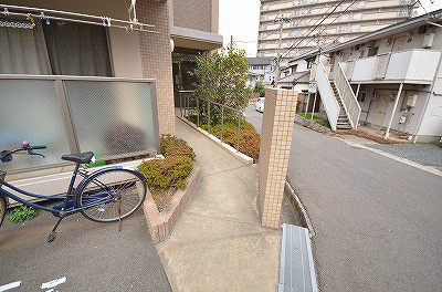 ゼルコバ その他2