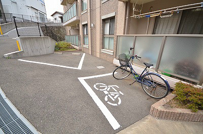 ゼルコバ その他5