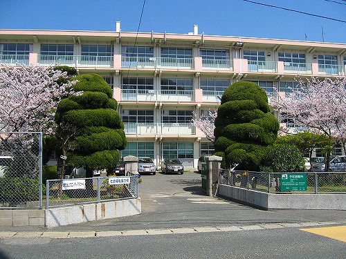 ファミリーマンション  周辺画像4