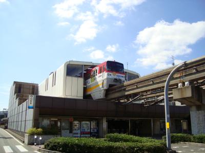 フジエホワイトローザ その他1
