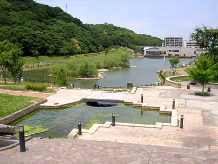 オアシス井堀 周辺画像5
