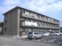 シャイン木村  203号室 外観