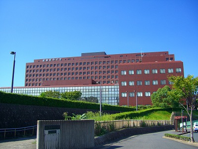 リリーフ浅川Ⅱ  周辺画像6