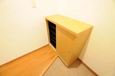 サンヒルズ高野(高齢者向け優良賃貸住宅) 玄関