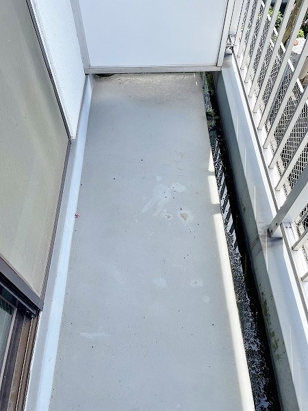 ヤンググレイス若園 その他31