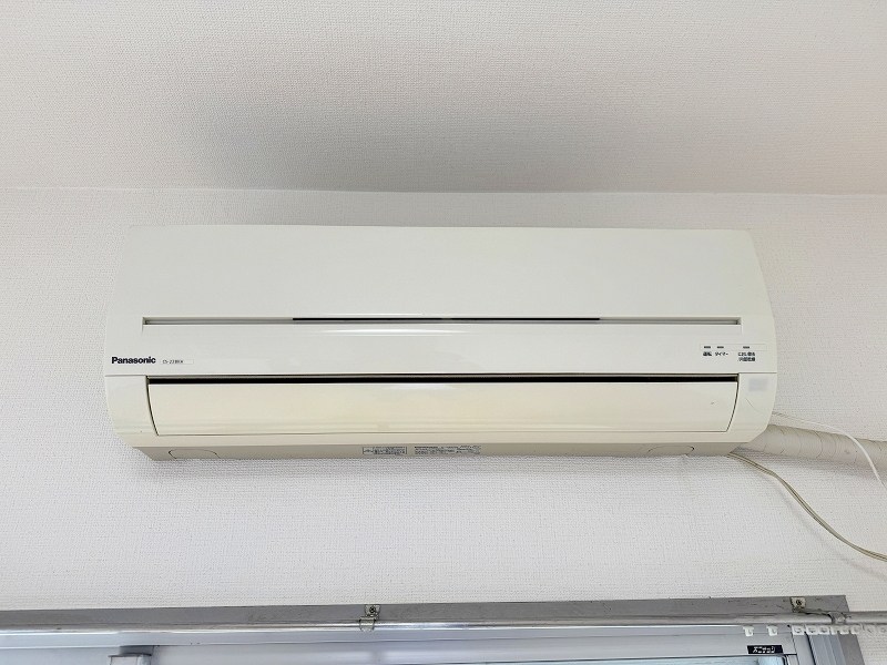 レディローザ  その他5