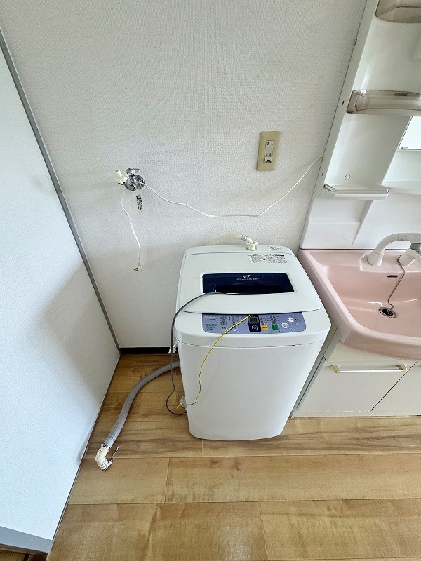 レディローザ  その他30