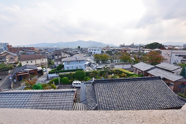 アビタシオン花の樹  その他36