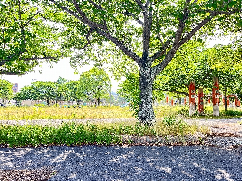 フィオーレⅠ　Ａ棟  周辺画像8