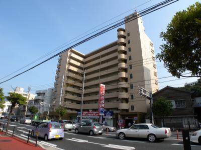歯大前スカイマンション (分譲賃貸) 913号室 外観