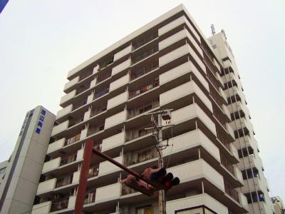 ホワイトパレス片野(分譲賃貸)  803号室 外観