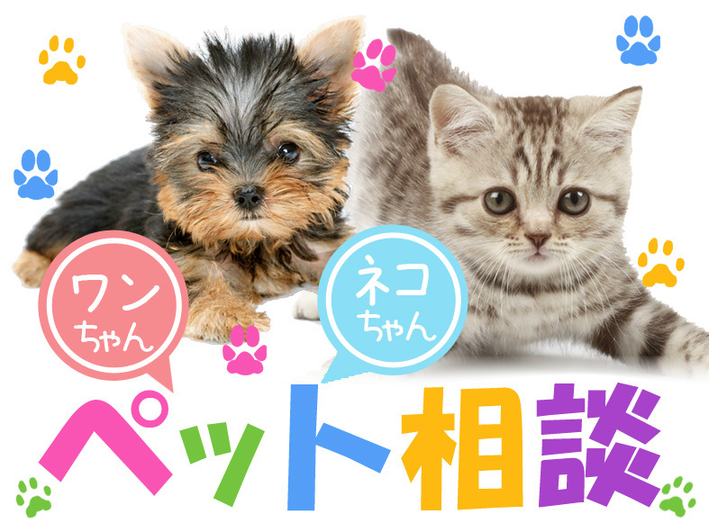 エリアグリーン その他8