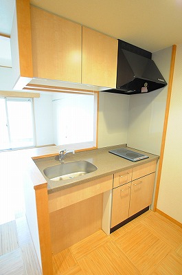 リード真鶴（高齢者向け優良賃貸住宅） キッチン