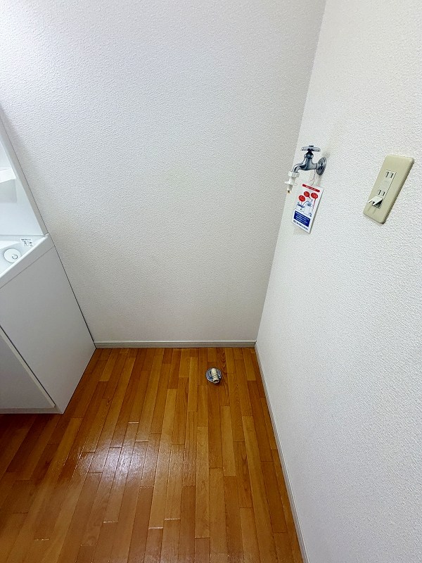 フレグランスヴィラ　Ａ棟 洗面所