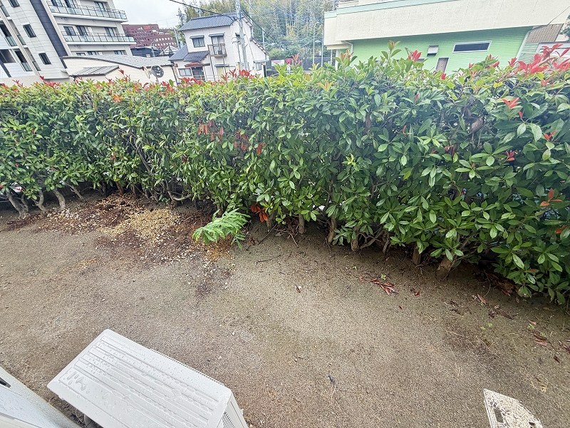 フレグランスヴィラ　Ａ棟 ベランダ
