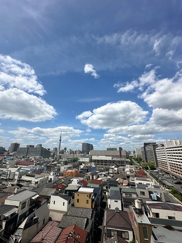 ラティエラ大島 眺望