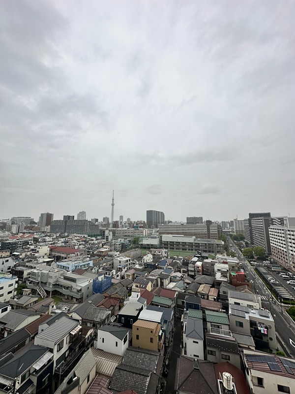 ラティエラ大島 眺望
