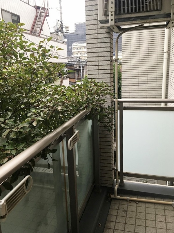 南麻布ウエスト ベランダ