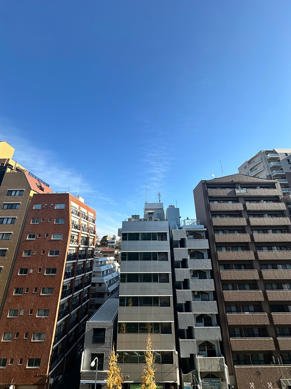 ラティエラ文京音羽 眺望
