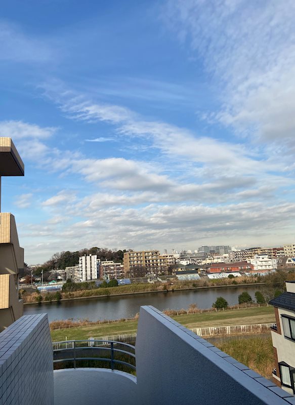 ワコーレ綱島Ⅰ 眺望