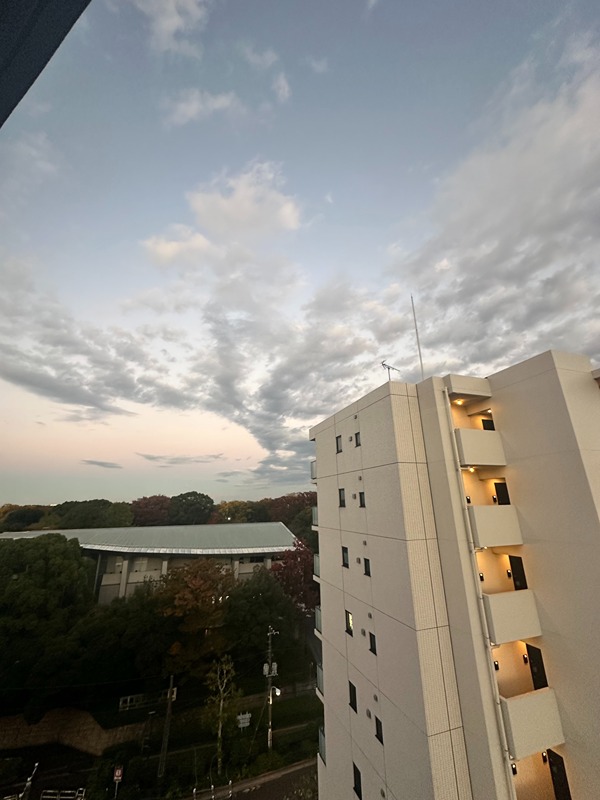 ラティエラ王子飛鳥山 眺望