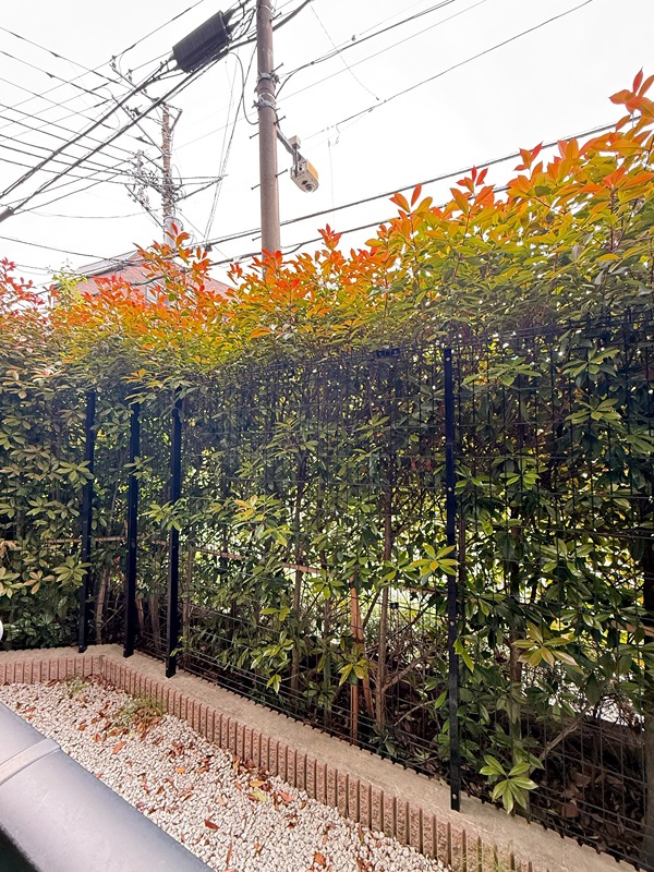 ラティエラ中野 眺望