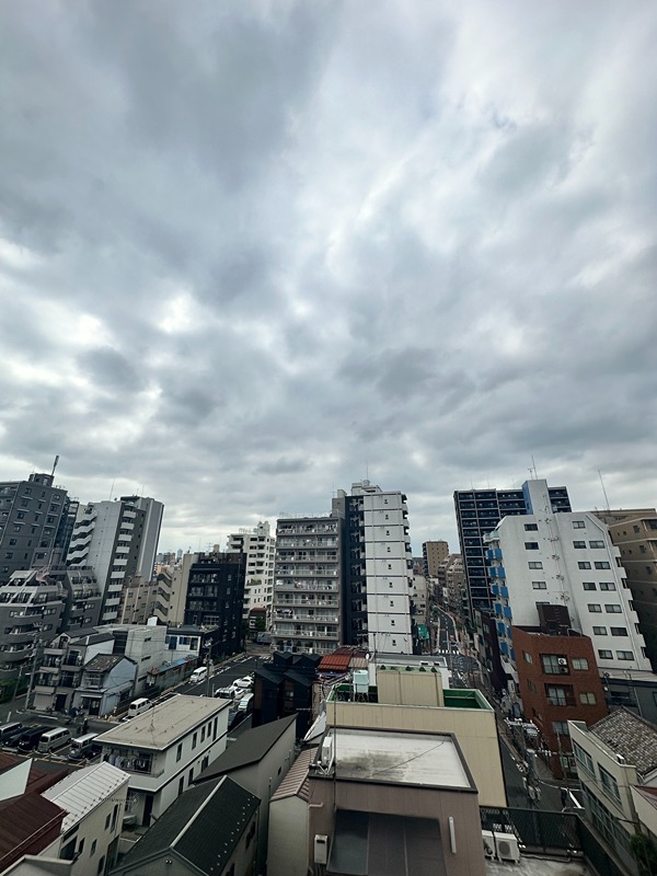 ラティエラ上野入谷 眺望