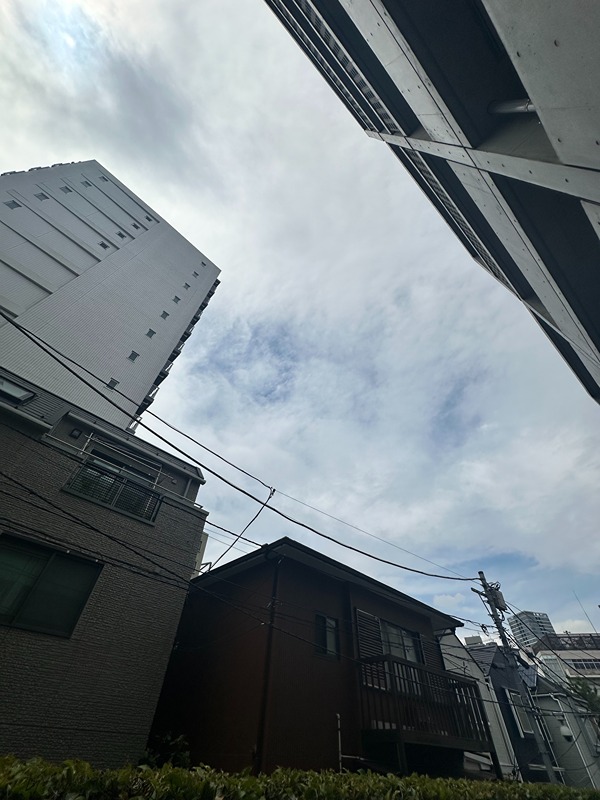 ラティエラ白金高輪 眺望