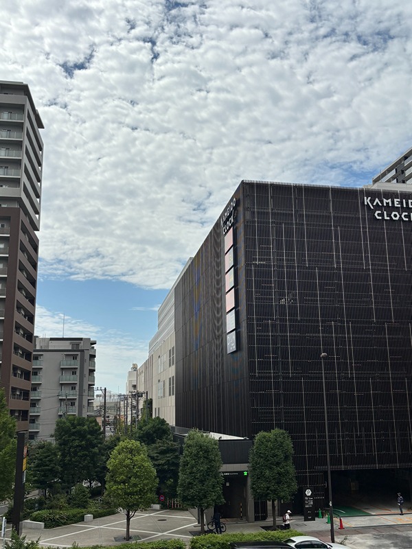 エスティメゾン亀戸 眺望