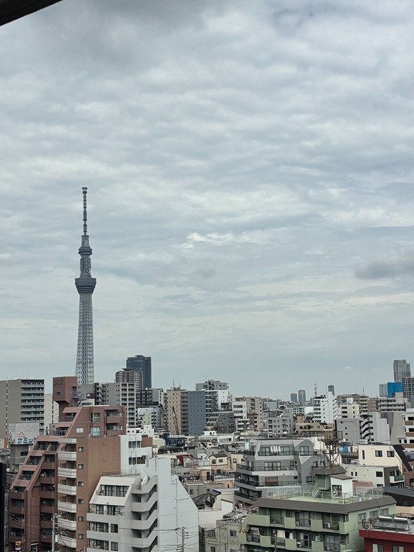 エスティメゾン亀戸 眺望