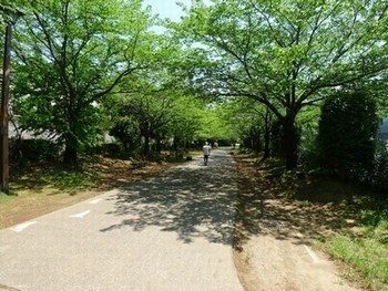 グリーンサニーホームズD その他