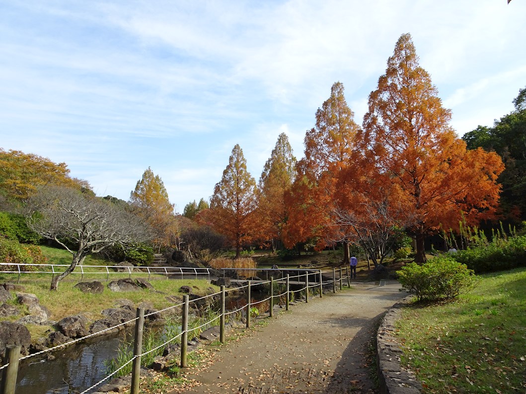 メゾンプレールカネザワ 公園