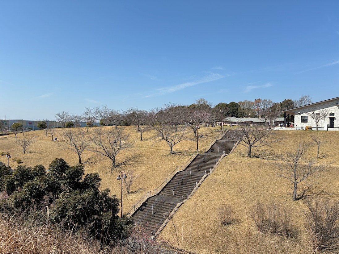 エスポワールちはら台南B棟 公園