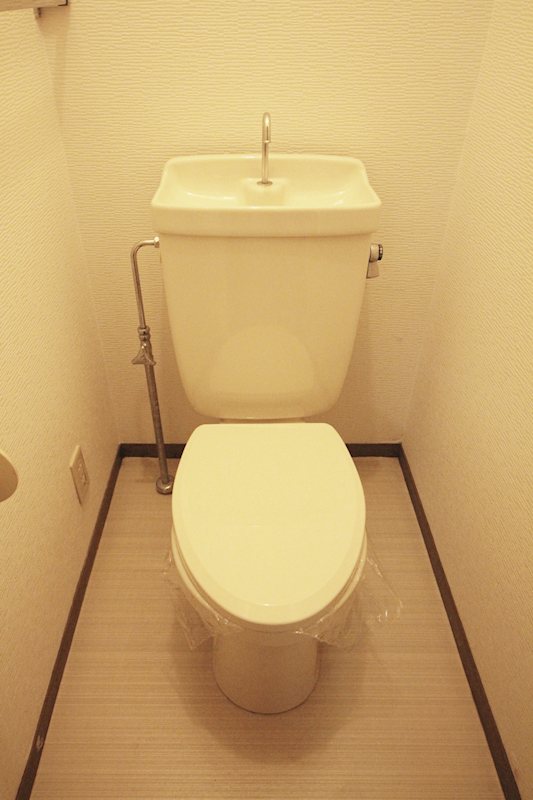 ハイコーポ柳郷地C トイレ