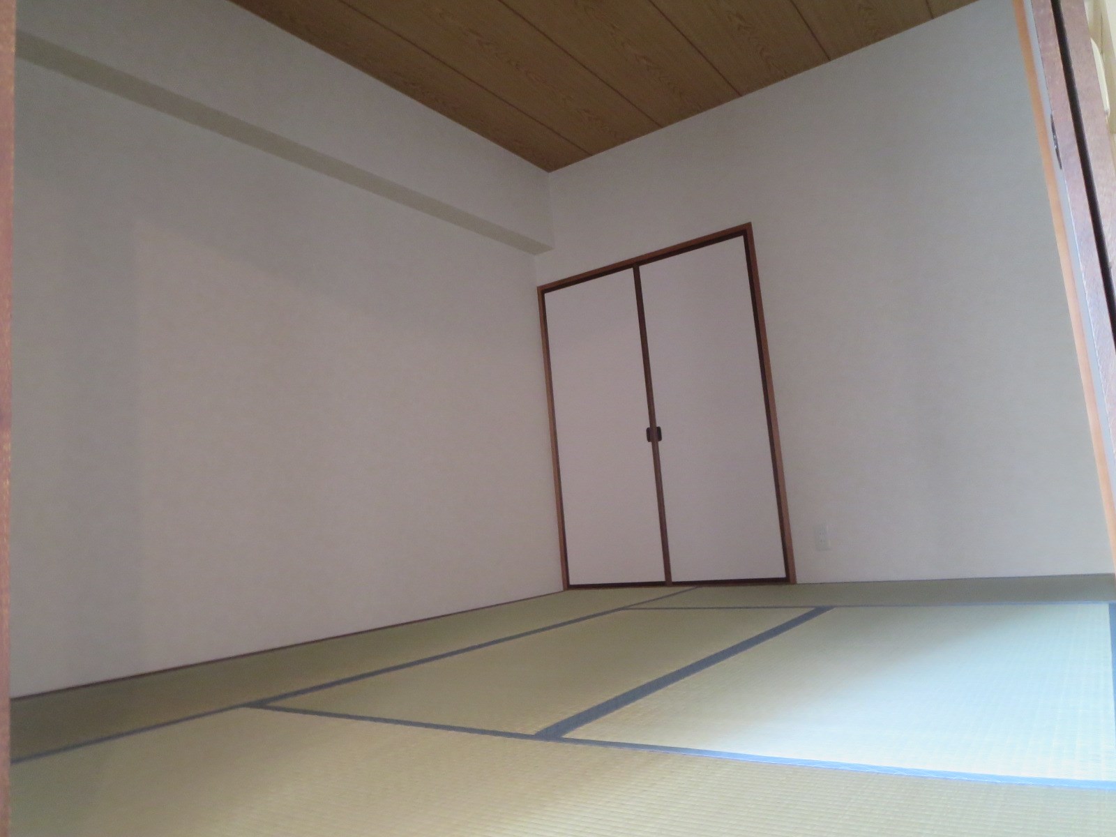 オークダイト その他