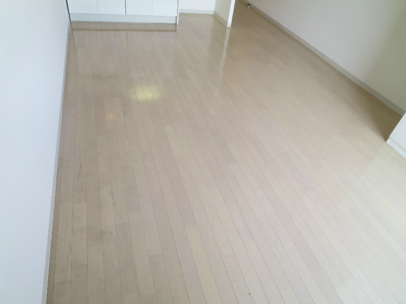 南堀江アパートメント　シエロ その他