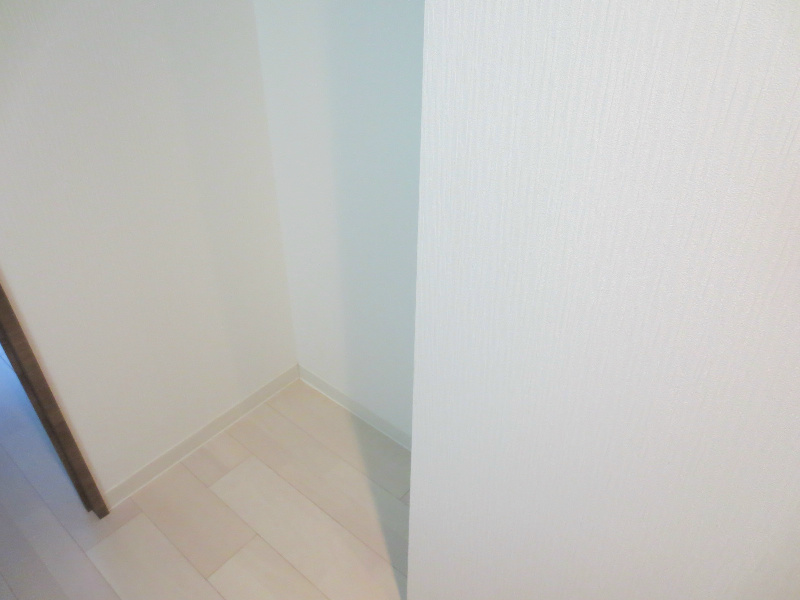 ミラージュパレス南堀江 その他