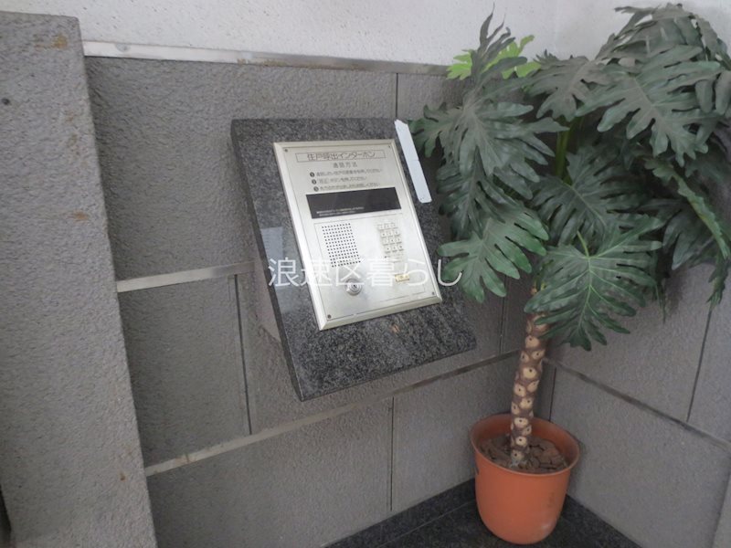 シェスタイレブン その他