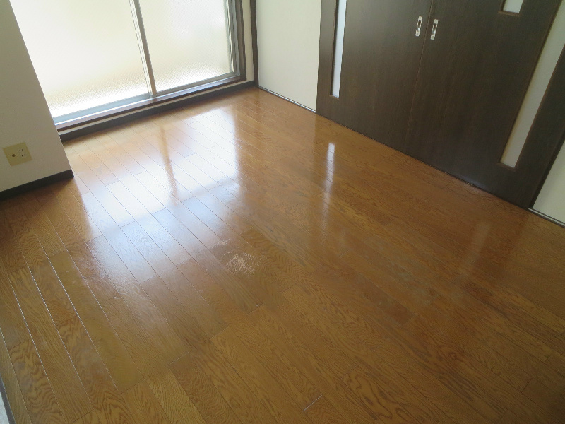 シェスタイレブン その他