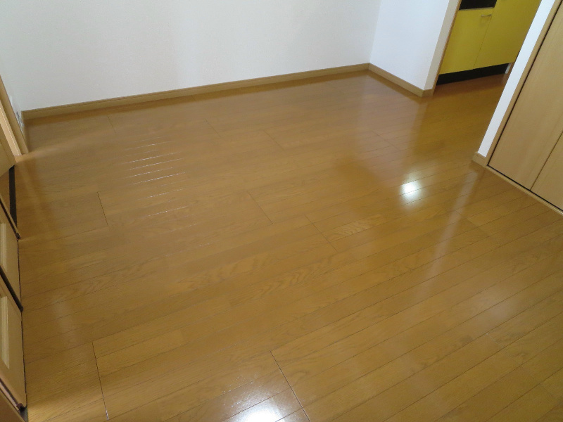 エルグレーシア その他