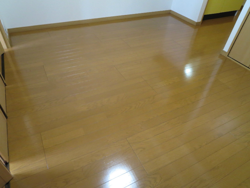 エルグレーシア その他
