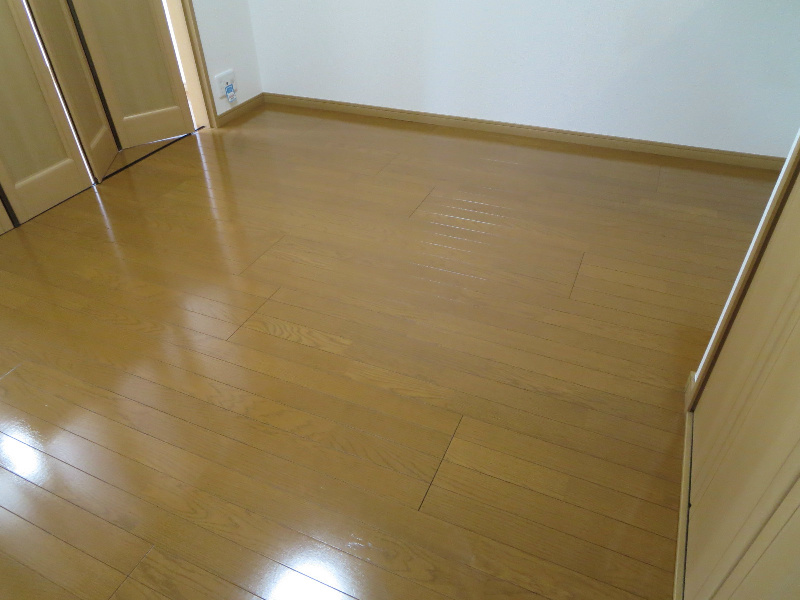 エルグレーシア その他