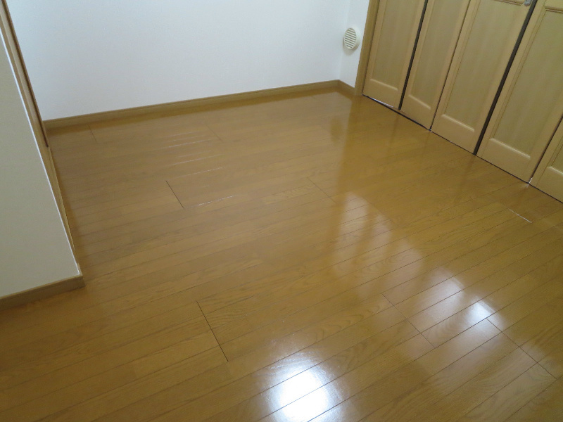 エルグレーシア その他
