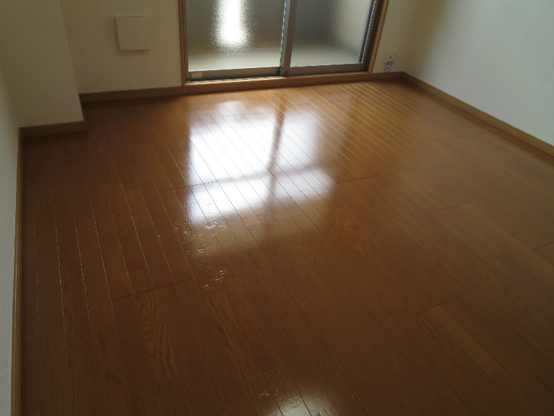 エルグレーシア その他